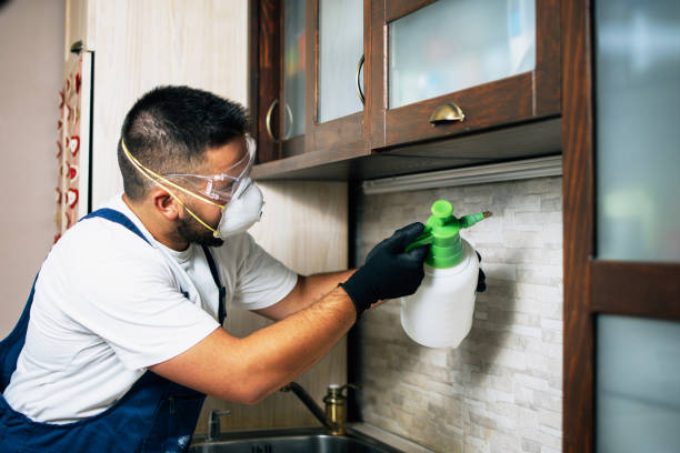 Best Cockroach Control Services  in Brookridge, FL