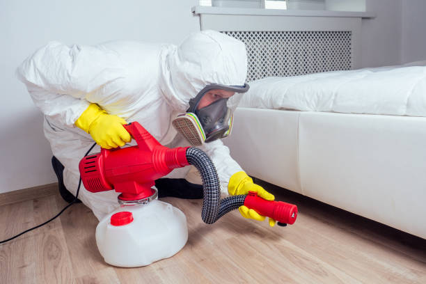 Best Termite Control Services  in Brookridge, FL