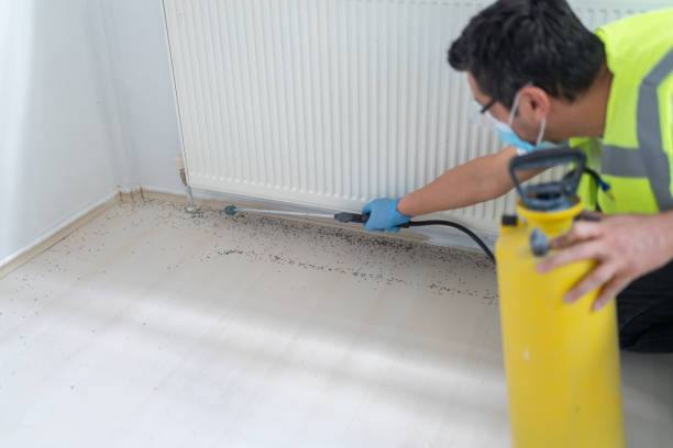Best Emergency Pest Control  in Brookridge, FL